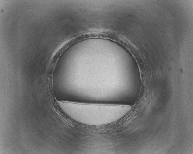 X0000074961208200609010936