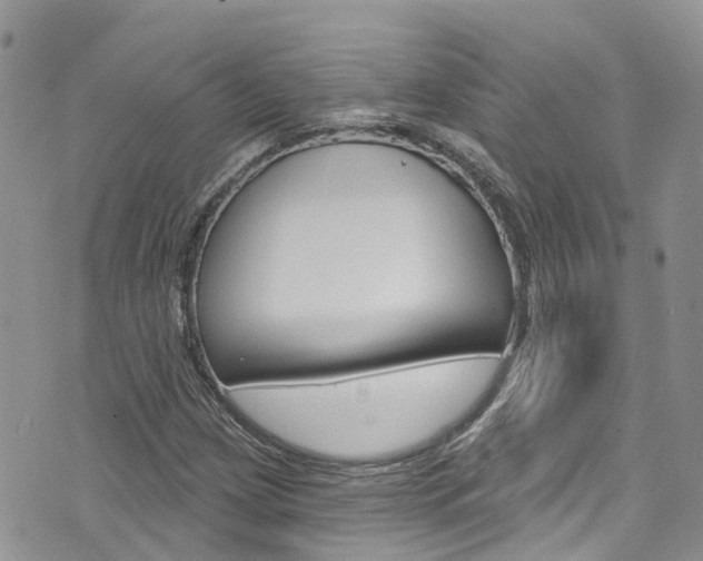 X0000074961209200609010936