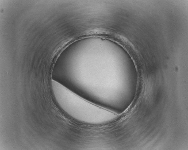 X0000074961217200609010937
