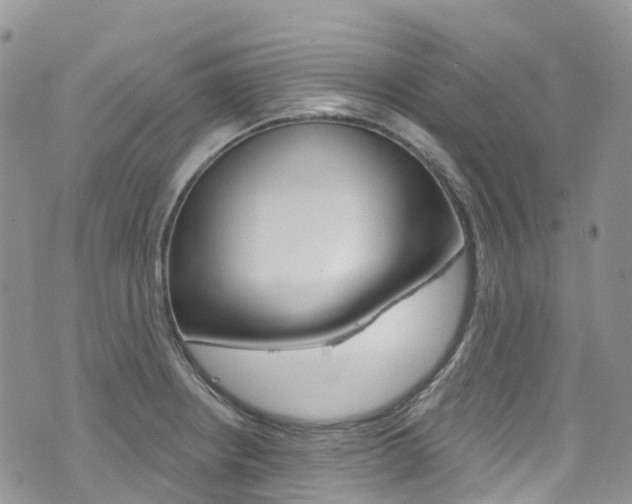 X0000074961234200609010937