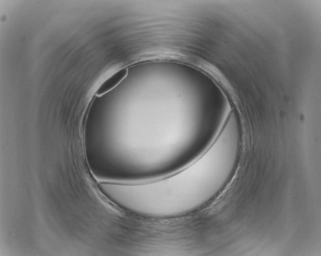X0000074961242200609010937