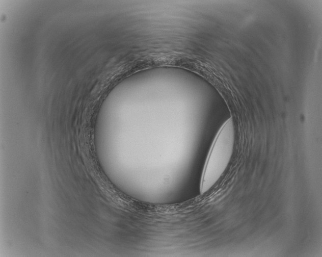 X0000074961249200609010936