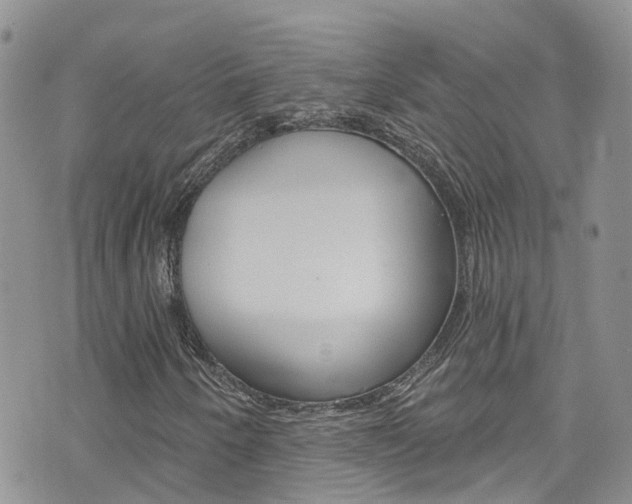 X0000074961250200609010936