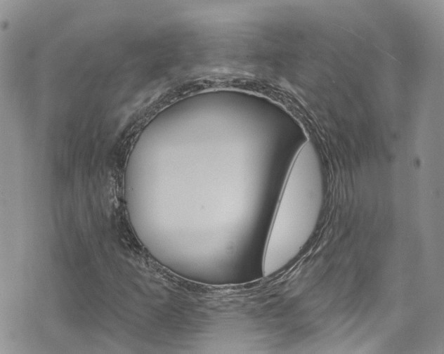 X0000074961253200609010936