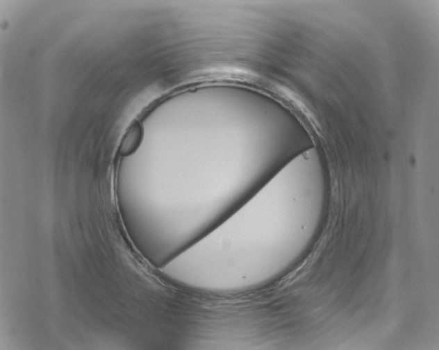 X0000074961275200609010936