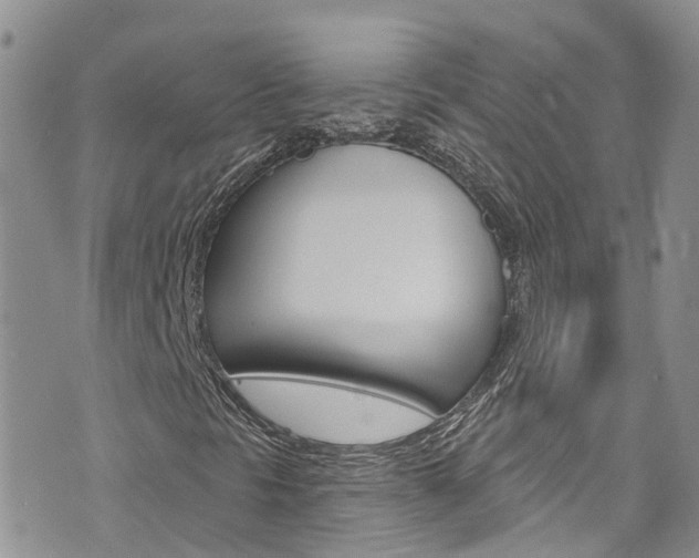 X0000074961297200609010935