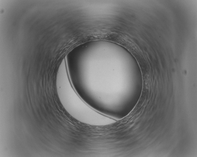 X0000074961298200609010935