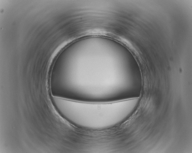 X0000074961331200609010935