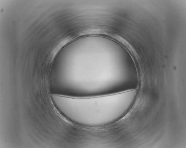 X0000074961337200609010935