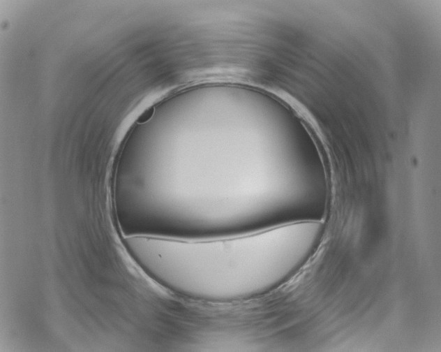 X0000074961341200609010935