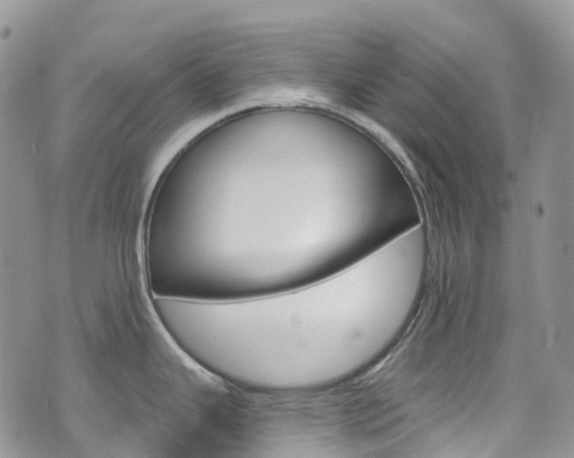 X0000074961343200609010935