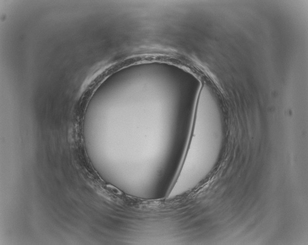 X0000074961352200609010935