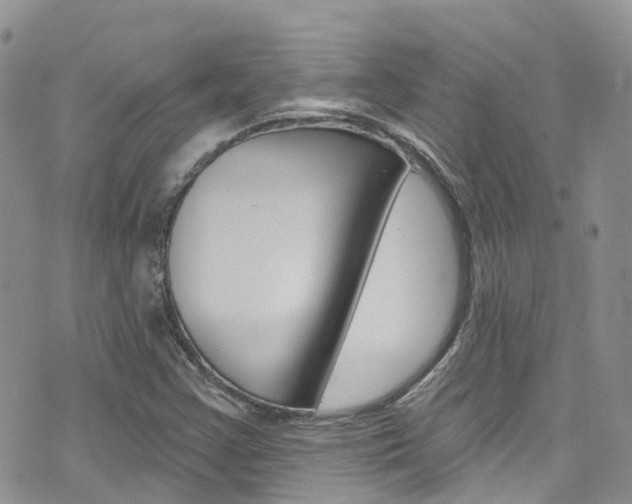 X0000074961355200609010935