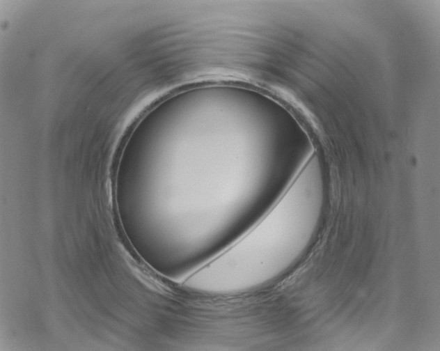 X0000074961372200609010934