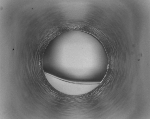 X0000074961394200609010933