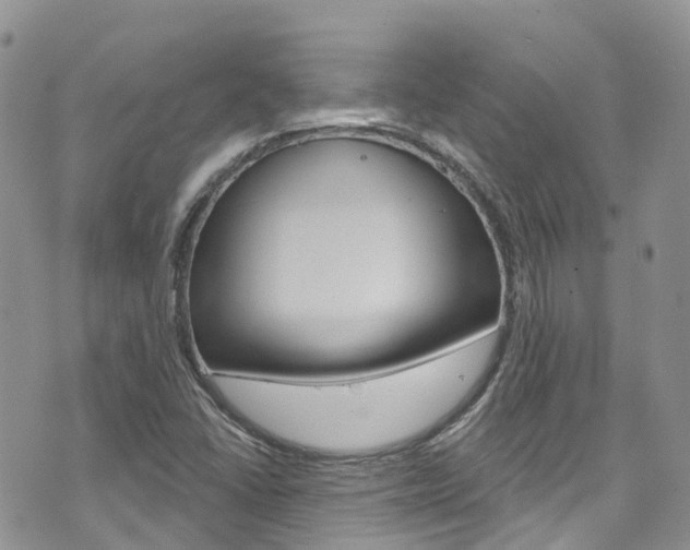X0000074961406200609010933
