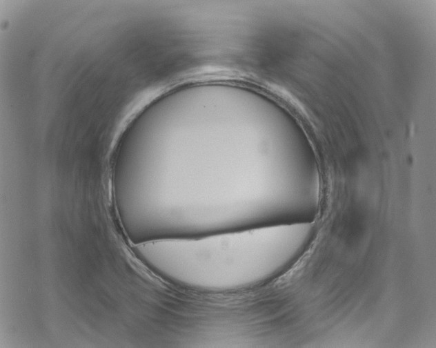 X0000074961413200609010934