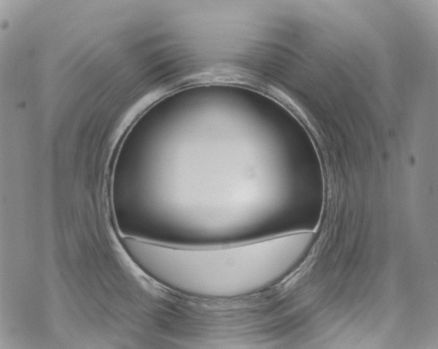 X0000074961434200609010934