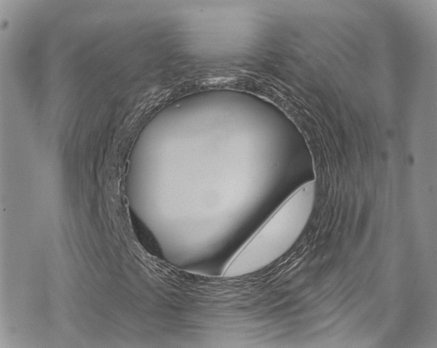 X0000074961441200609010933