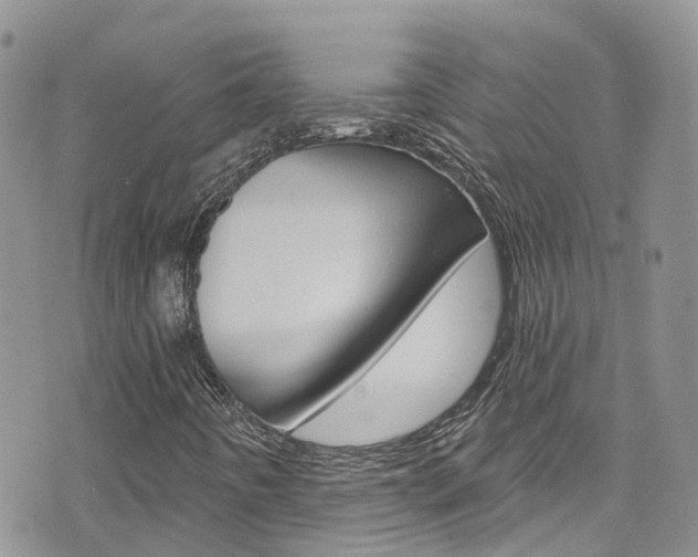 X0000074961442200609010933
