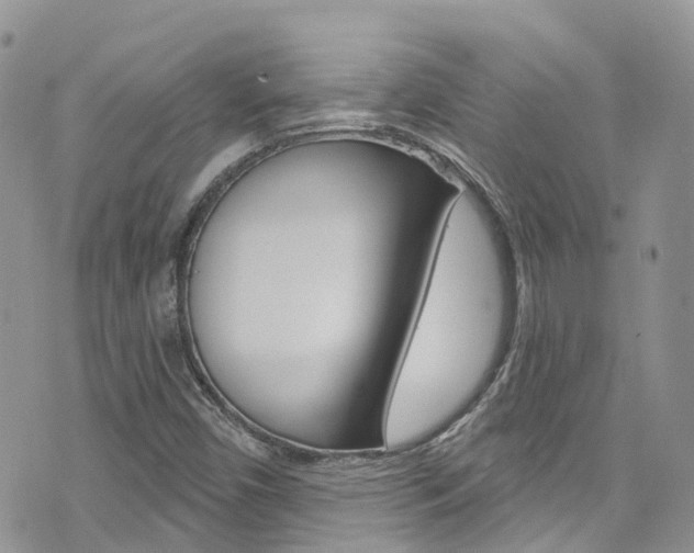 X0000074961450200609010933