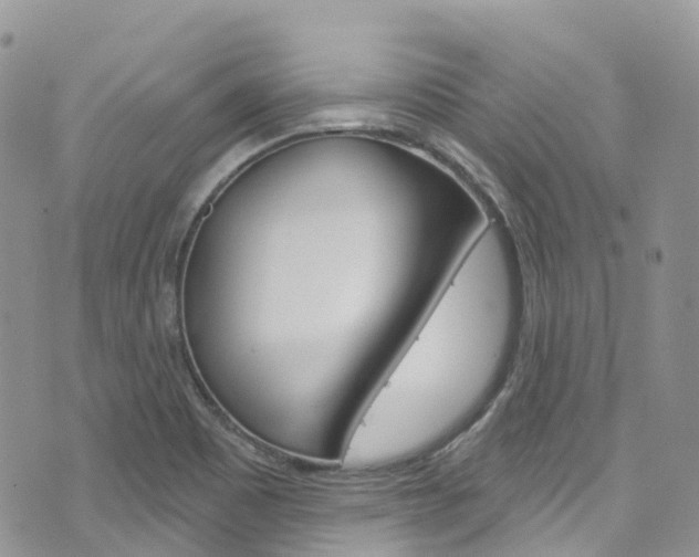 X0000074961465200609010933