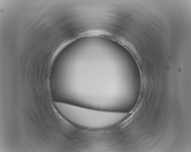 X0000074961473200609010933