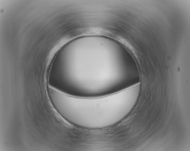 X0000074961480200609010933