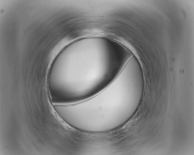 X0000074961488200609010932