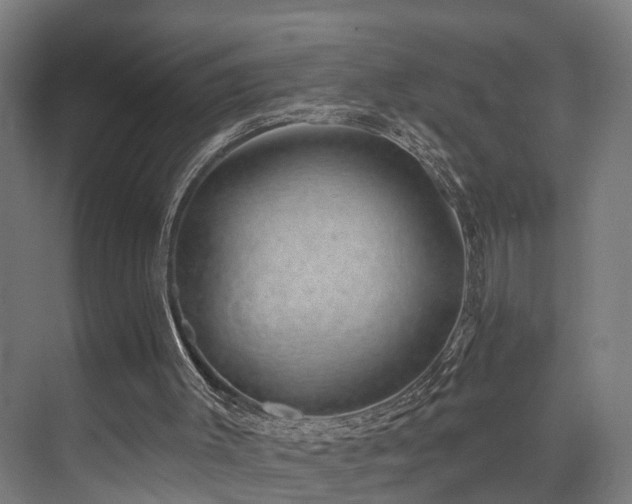 X0000074960003200609011158