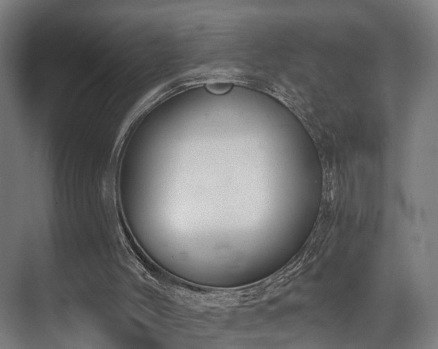 X0000074960004200609011158
