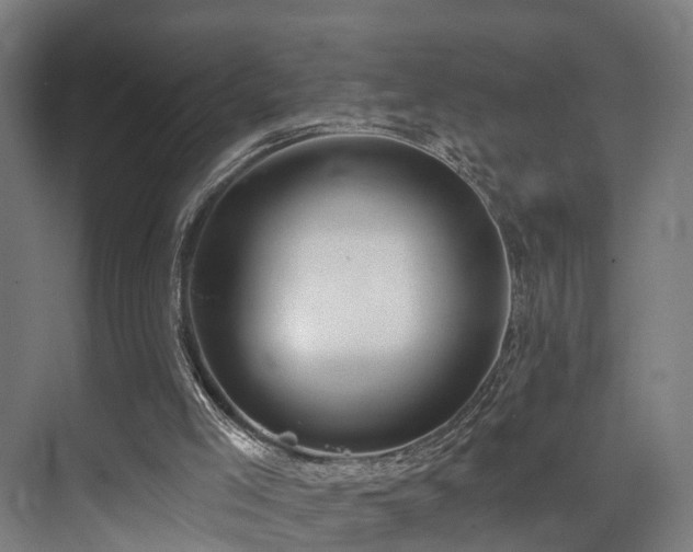 X0000074960005200609011158