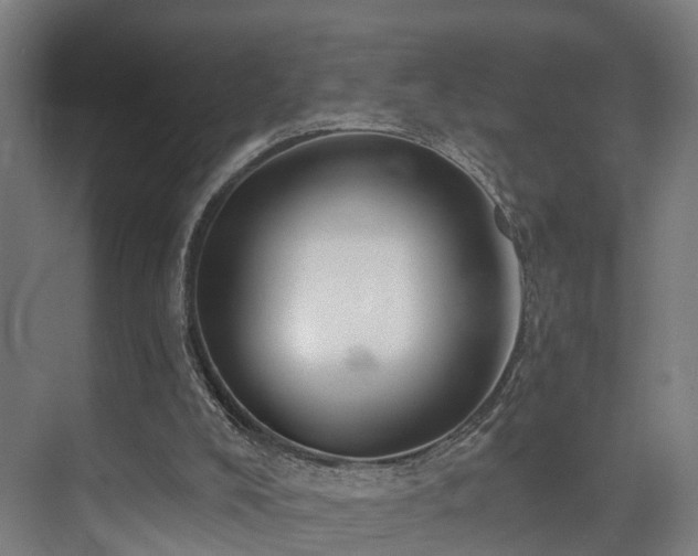 X0000074960008200609011158