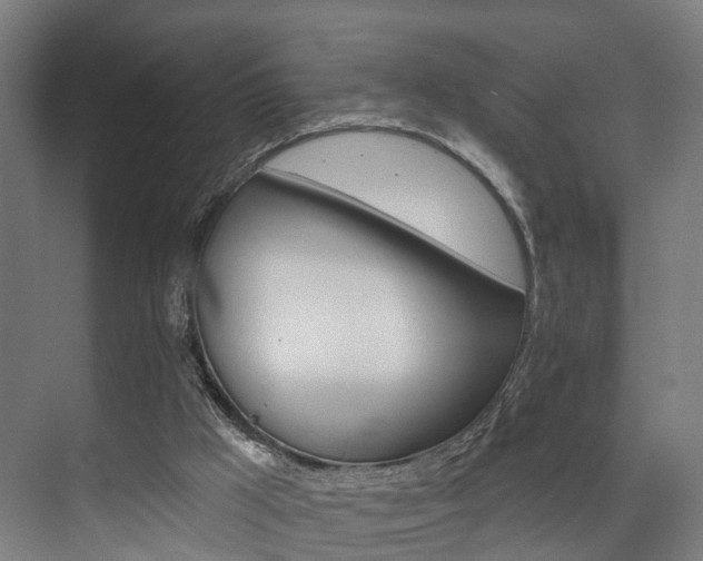 X0000074960009200609011158