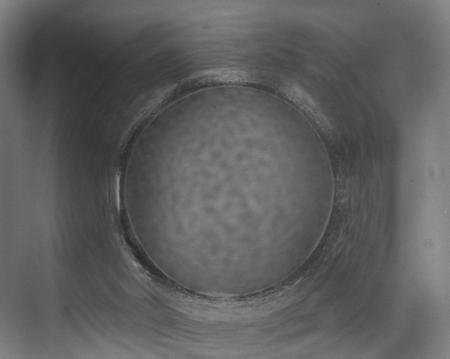 X0000074960014200609011158