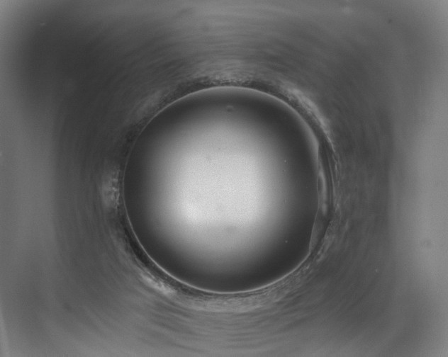 X0000074960017200609011158
