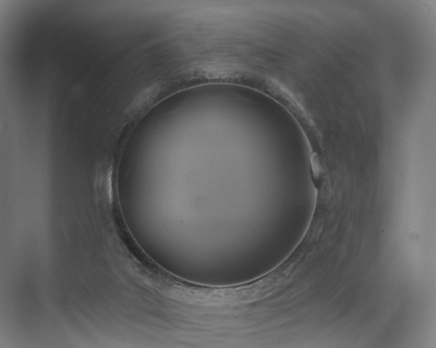 X0000074960019200609011158