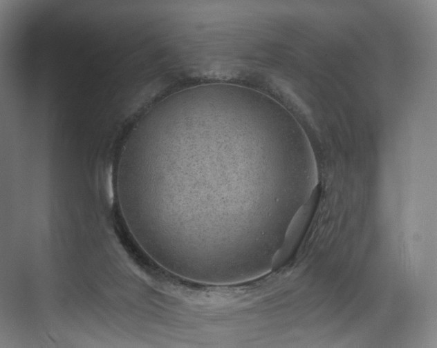X0000074960020200609011158