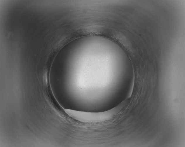 X0000074960021200609011158