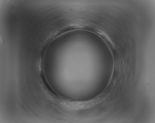 X0000074960023200609011158