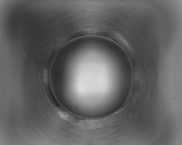 X0000074960025200609011158