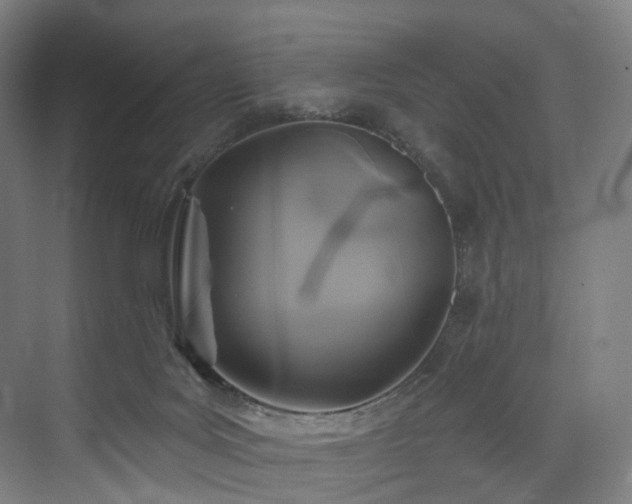 X0000074960027200609011158
