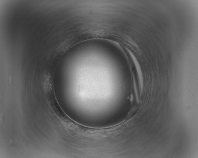 X0000074960029200609011158