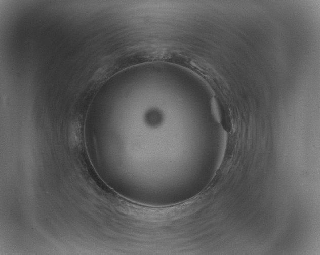 X0000074960035200609011158