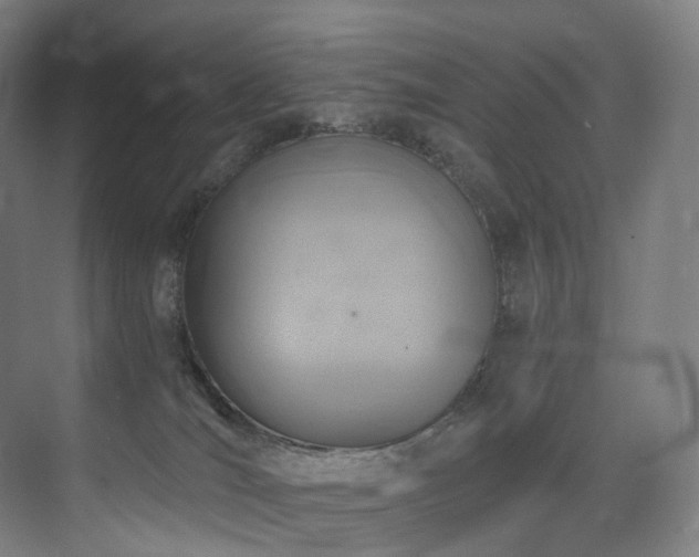 X0000074960036200609011158