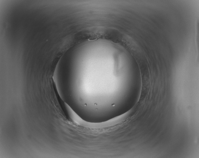 X0000074960037200609011158