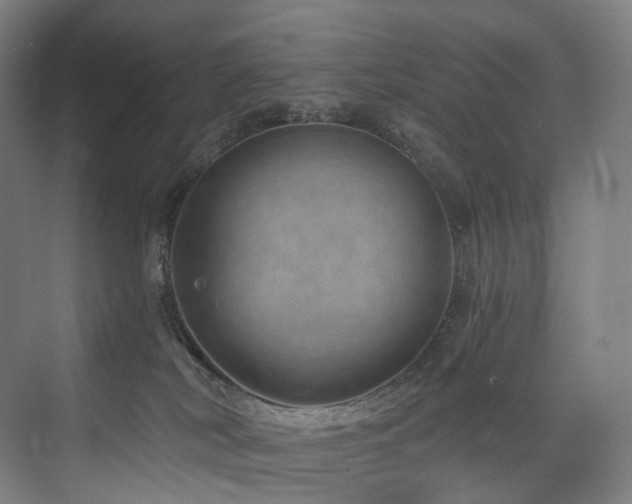 X0000074960038200609011158