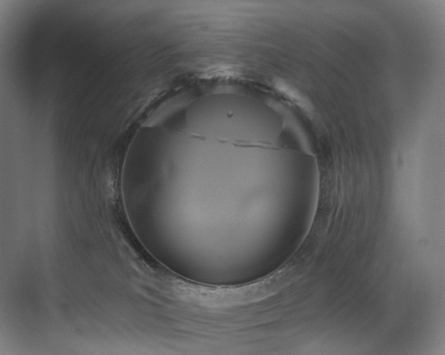 X0000074960039200609011158