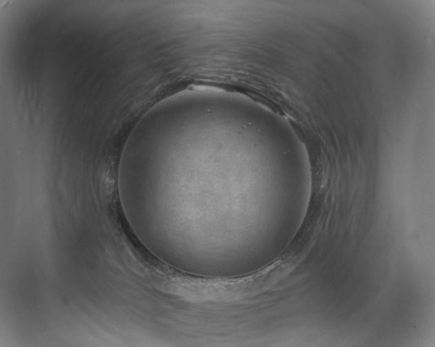 X0000074960040200609011158