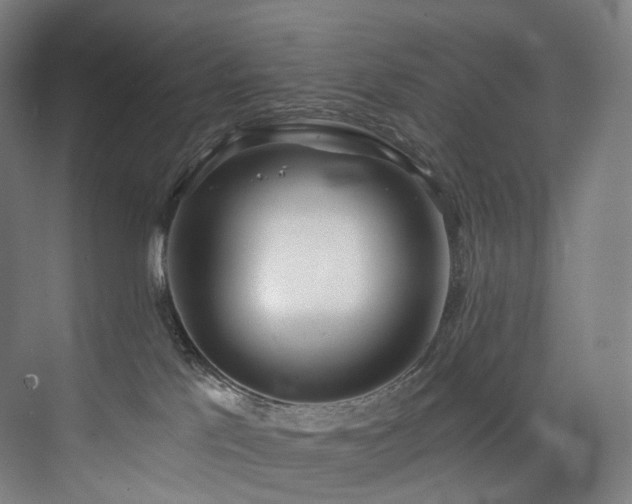 X0000074960041200609011158